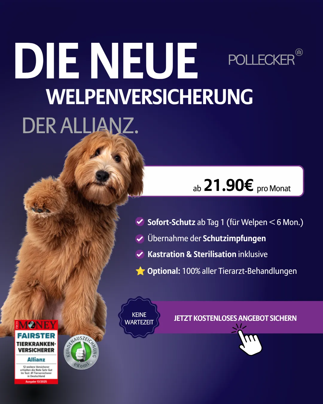 Allianz Pollecker Social Ad — Tierversicherung Hook 1