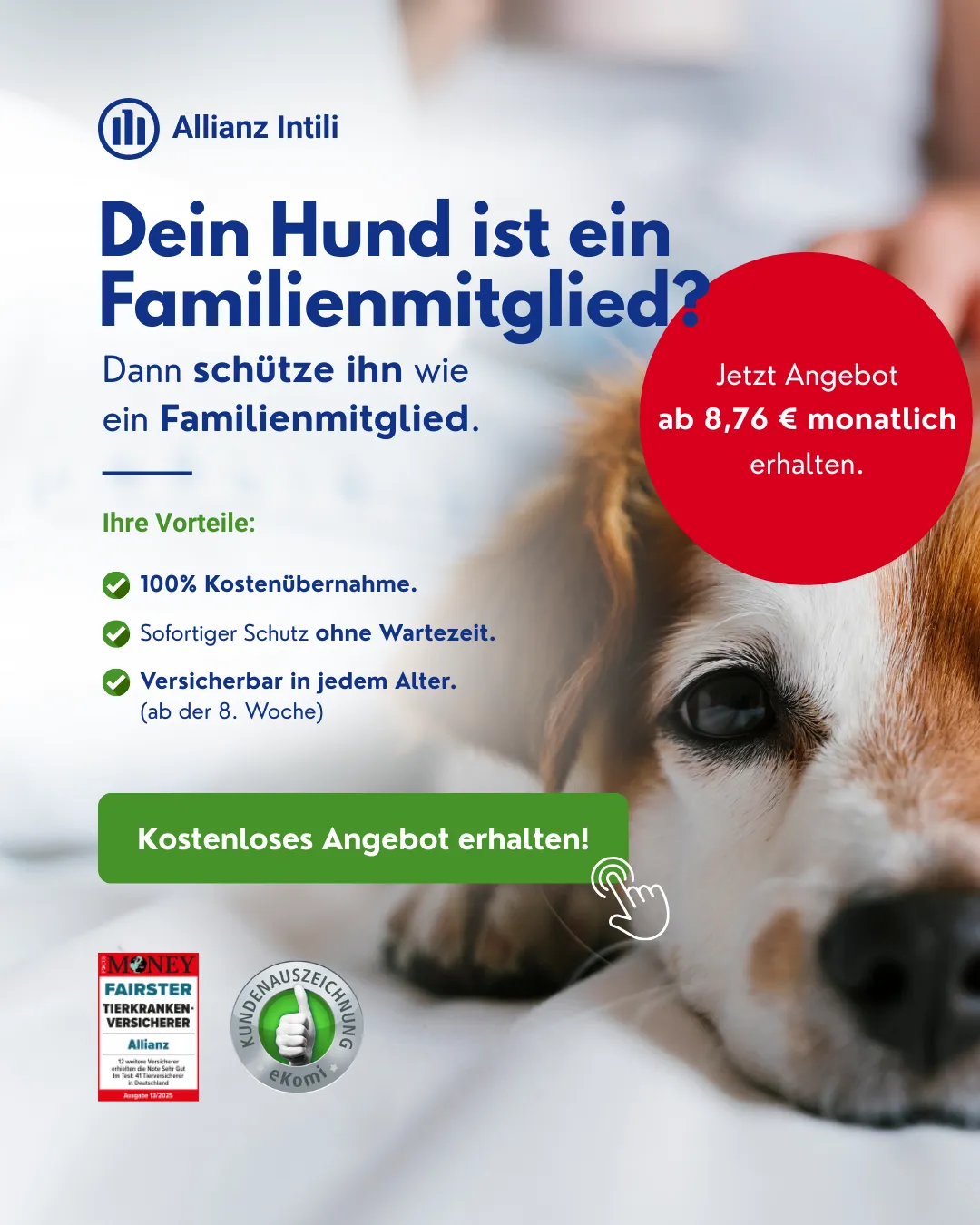 Emotionales Werbebild "Dein Hund ist ein Familienmitglied" für Allianz Intili. Emotionales Marketing Design Agentur Reuber.