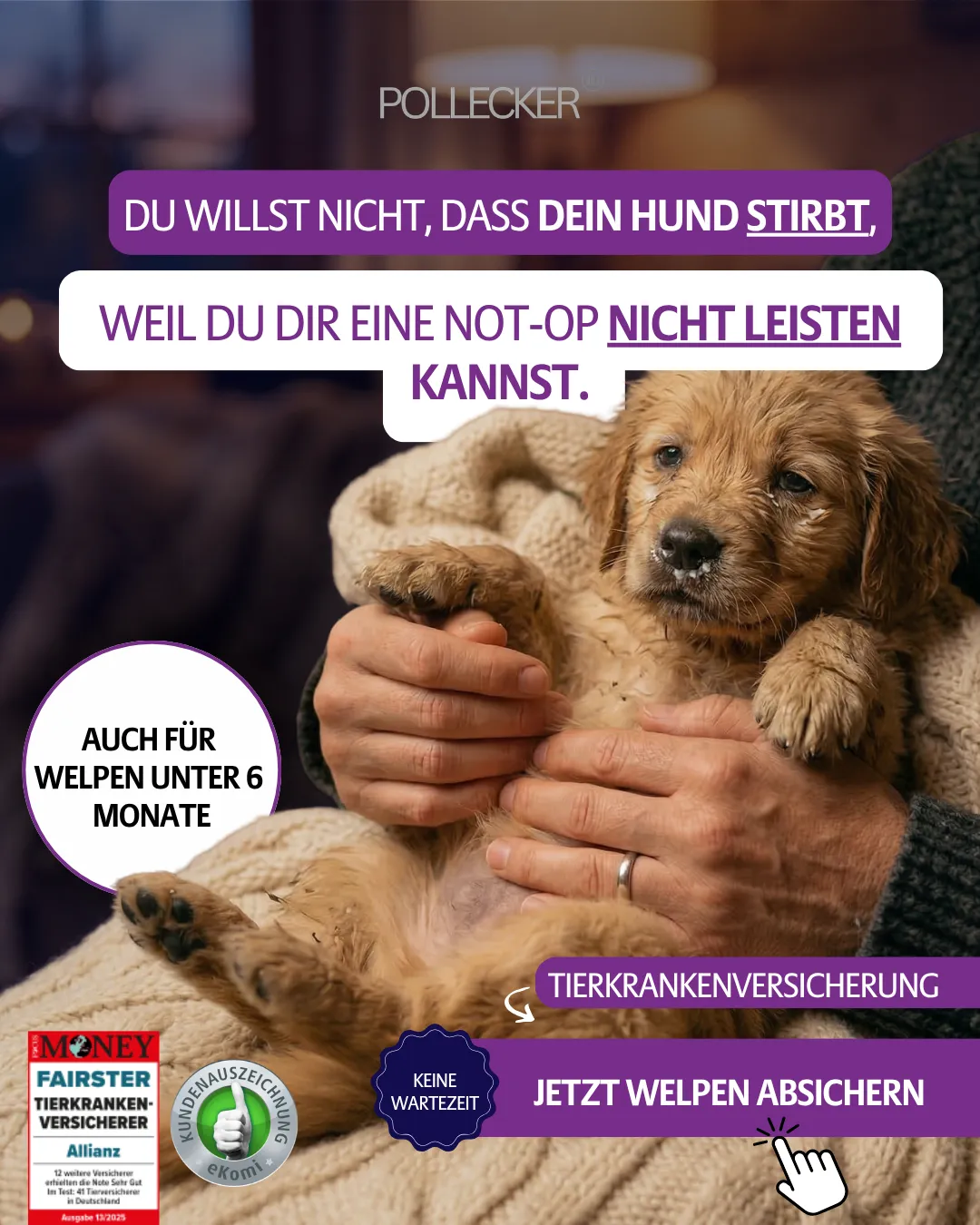 Allianz Pollecker Social Ad — Tierversicherung Hook 2