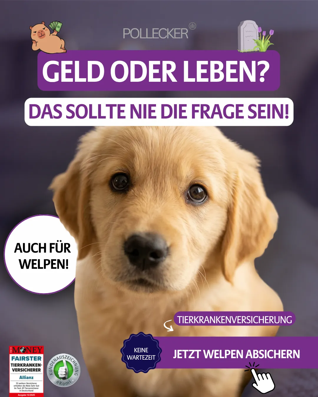 Allianz Pollecker Social Ad — Tierversicherung Hook 3