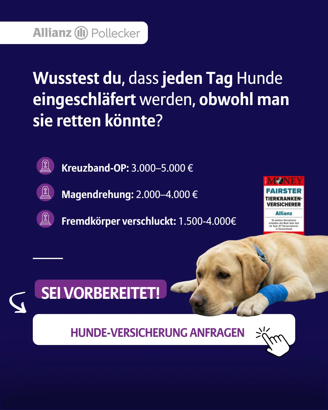 Allianz Pollecker Social Ad — Tierversicherung Hook 6